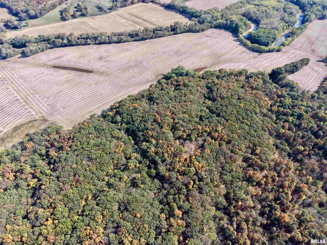 $650,000 | 0 3100 East Avenue, Cowden, IL 62422