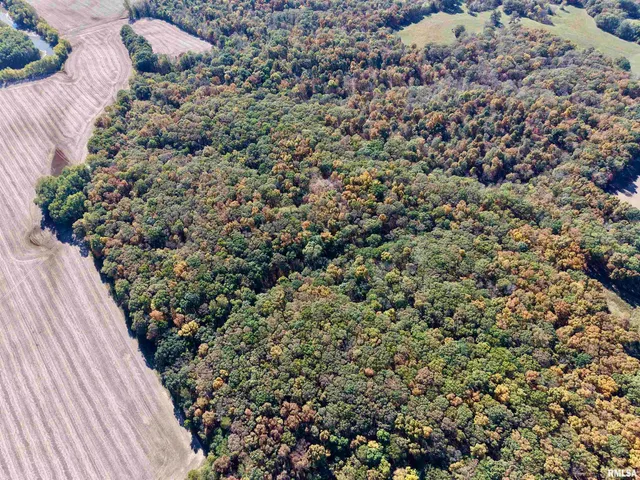 $650,000 | 0 3100 East Avenue, Cowden, IL 62422