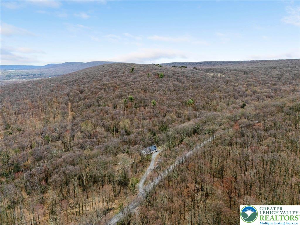 139 Fort Franklin Road Andreas, PA 18211 - Photo 10 of 27 Gallery Image 10