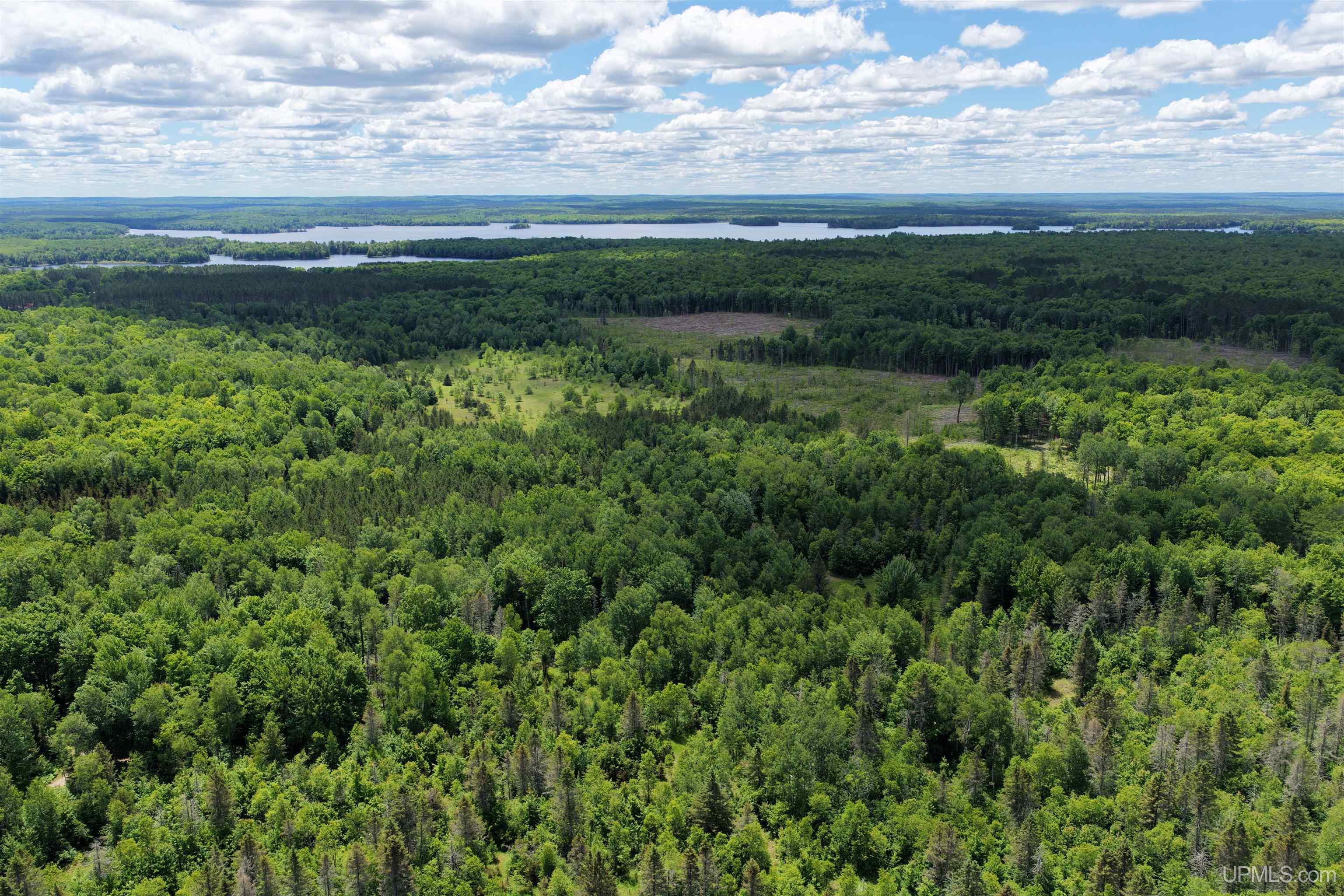 Tbd Calderwood Road Trout Creek, MI 49967 - Photo 7 of 8