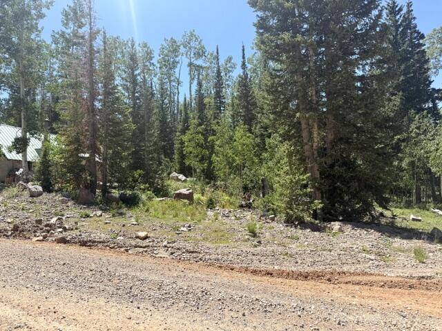 263 Hidden Lake Road, Unit LOT #5 Brian Head, UT 84719 - Photo 3 of 10 IMG_7178