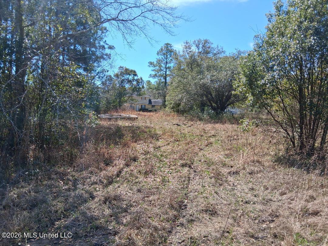 Mill Street Moss Point, MS 39563 - Photo 16 of 21 16