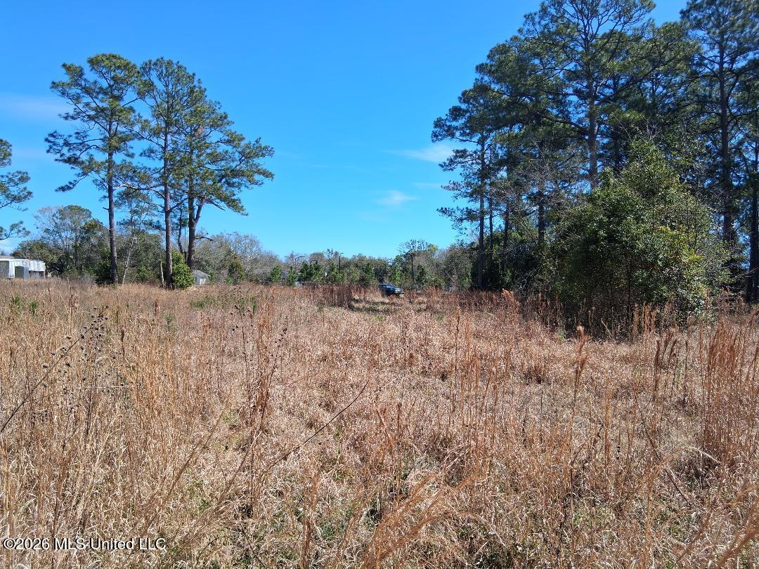 Mill Street Moss Point, MS 39563 - Photo 2 of 21 2