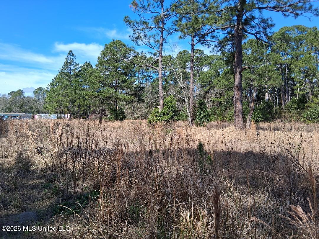 Mill Street Moss Point, MS 39563 - Photo 7 of 21 7
