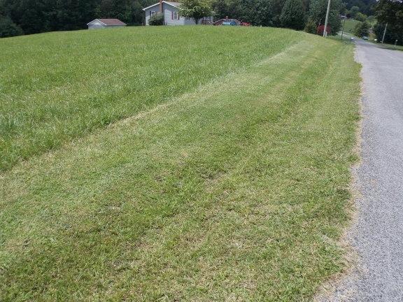 0 Country Lane Northwest Riner, VA 24149 - Photo 7 of 8 Rutrough-Road Frontage