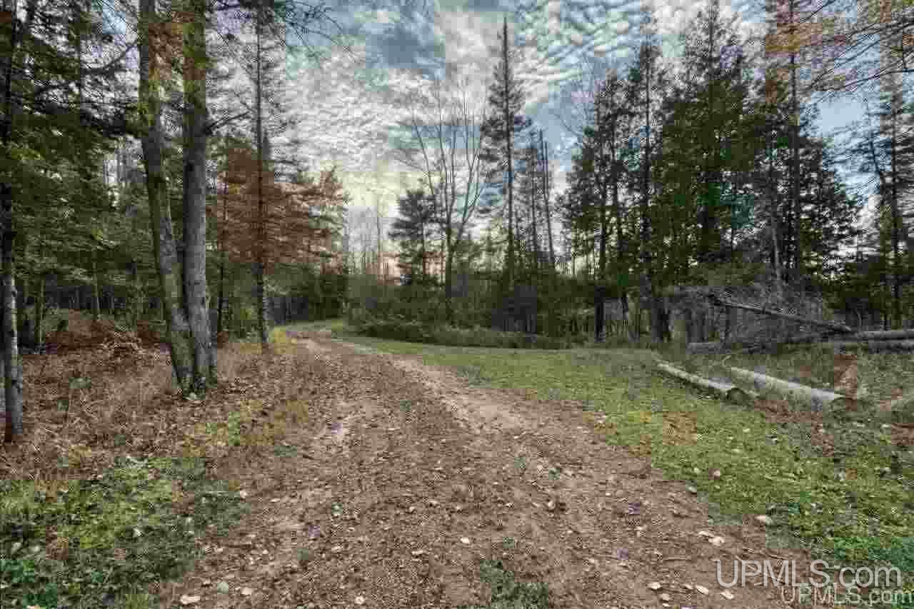 N12056 Lake Ellen Road Channing, MI 49815 - Photo 4 of 40 Gallery Image 4