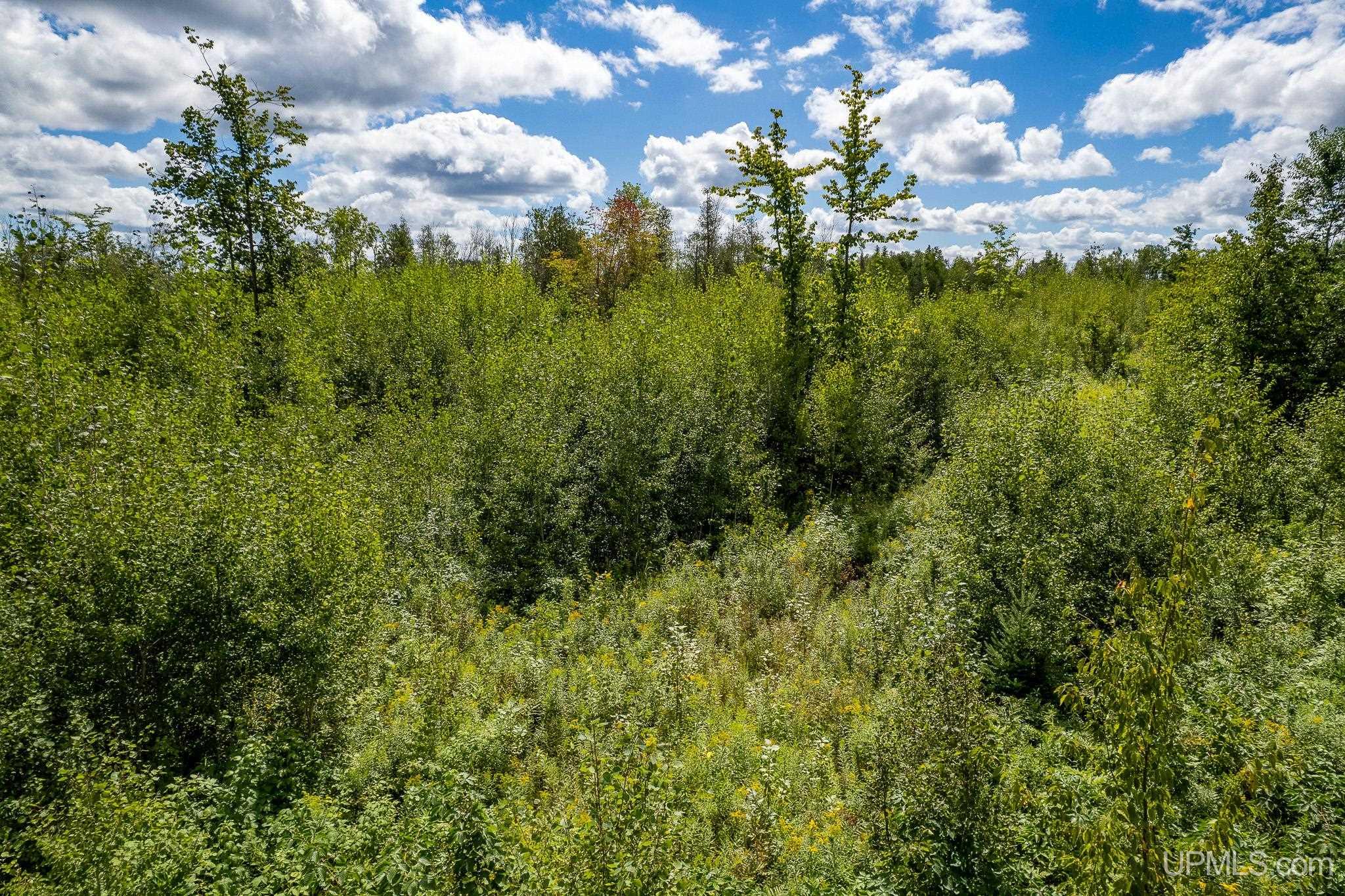 Tbd 19th Lane Escanaba, MI 49829 - Photo 12 of 16