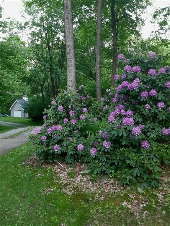 115 Ferguson Road Boyers, PA 16020 - Photo 24 of 25