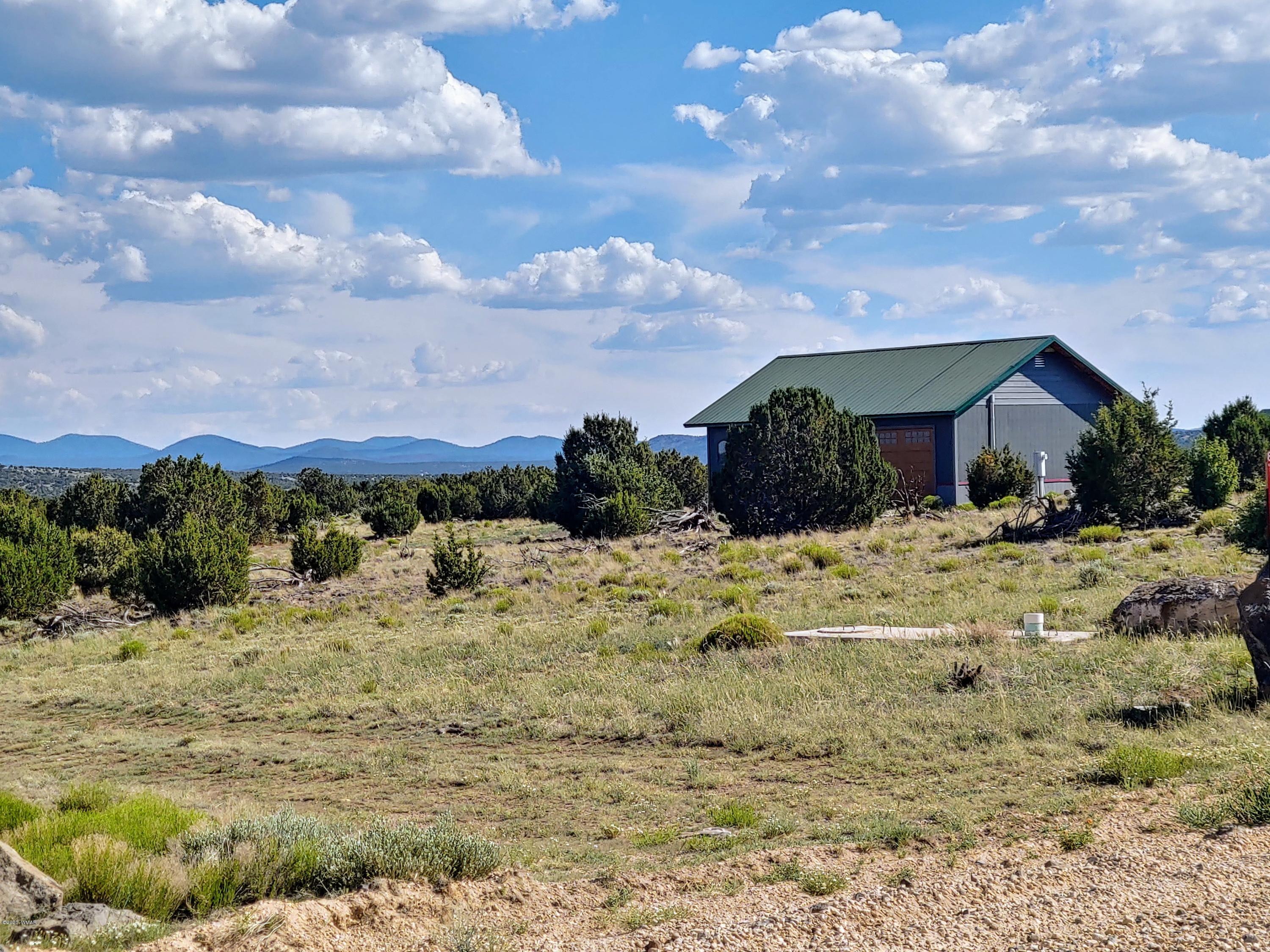 Lot 17 Windsor Valley Ranch, Unit 1 Concho, AZ 85924 - Photo 2 of 23
