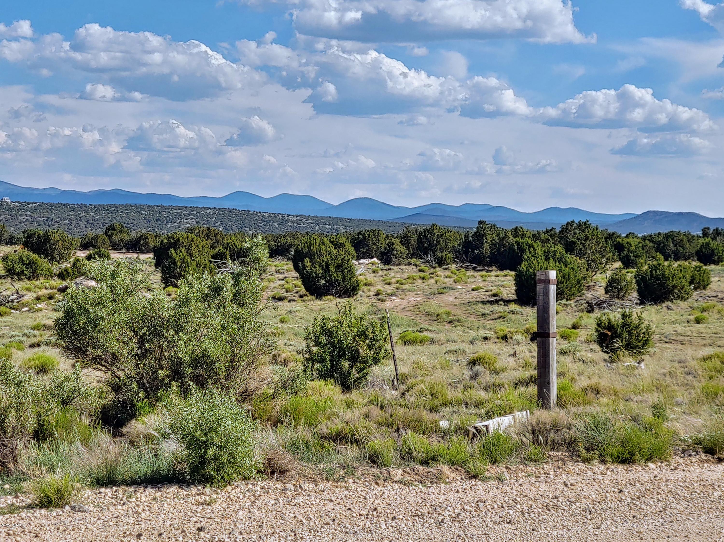 Lot 17 Windsor Valley Ranch, Unit 1 Concho, AZ 85924 - Photo 3 of 23