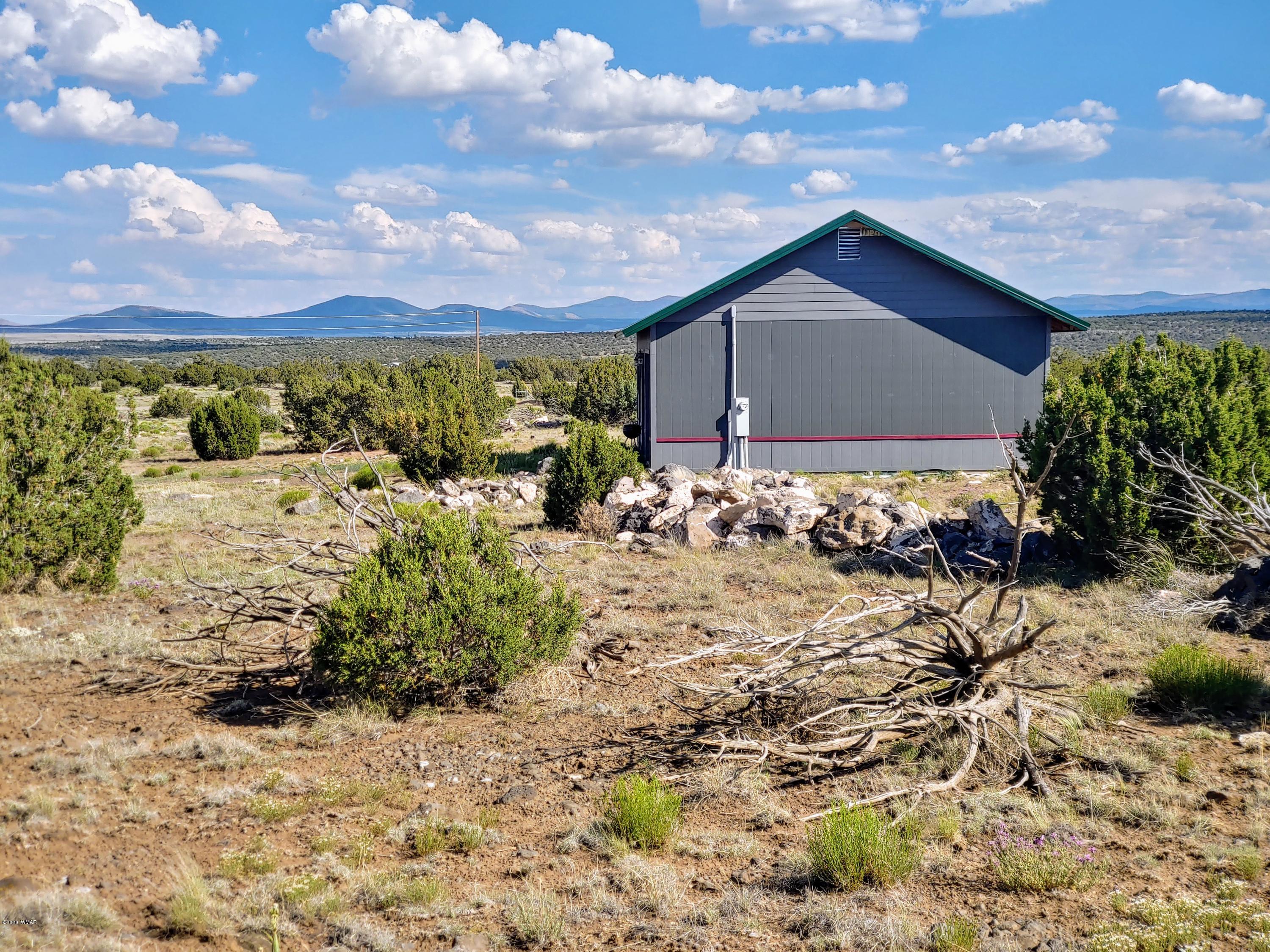 Lot 17 Windsor Valley Ranch, Unit 1 Concho, AZ 85924 - Photo 6 of 23