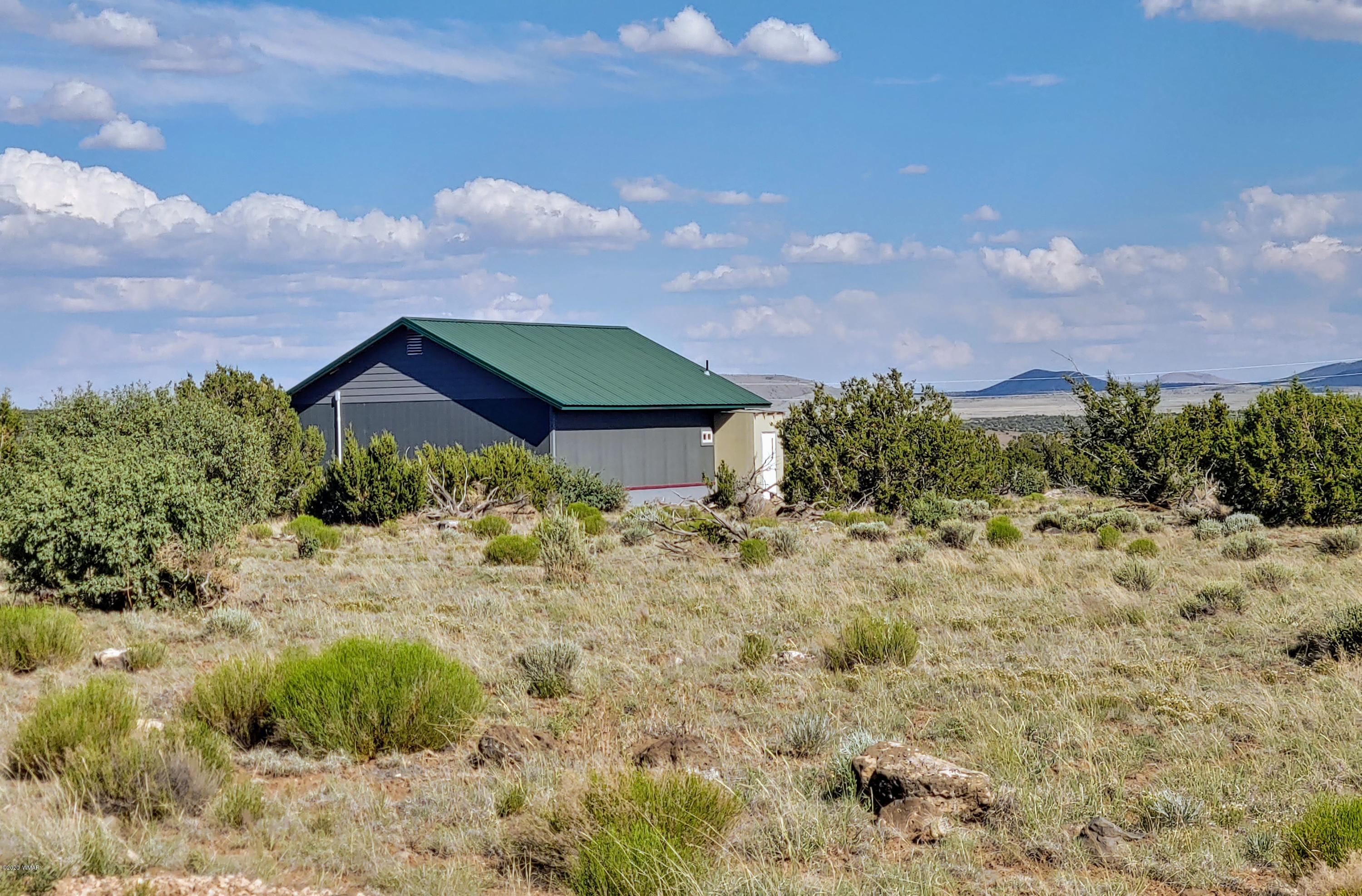 Lot 17 Windsor Valley Ranch, Unit 1 Concho, AZ 85924 - Photo 8 of 23