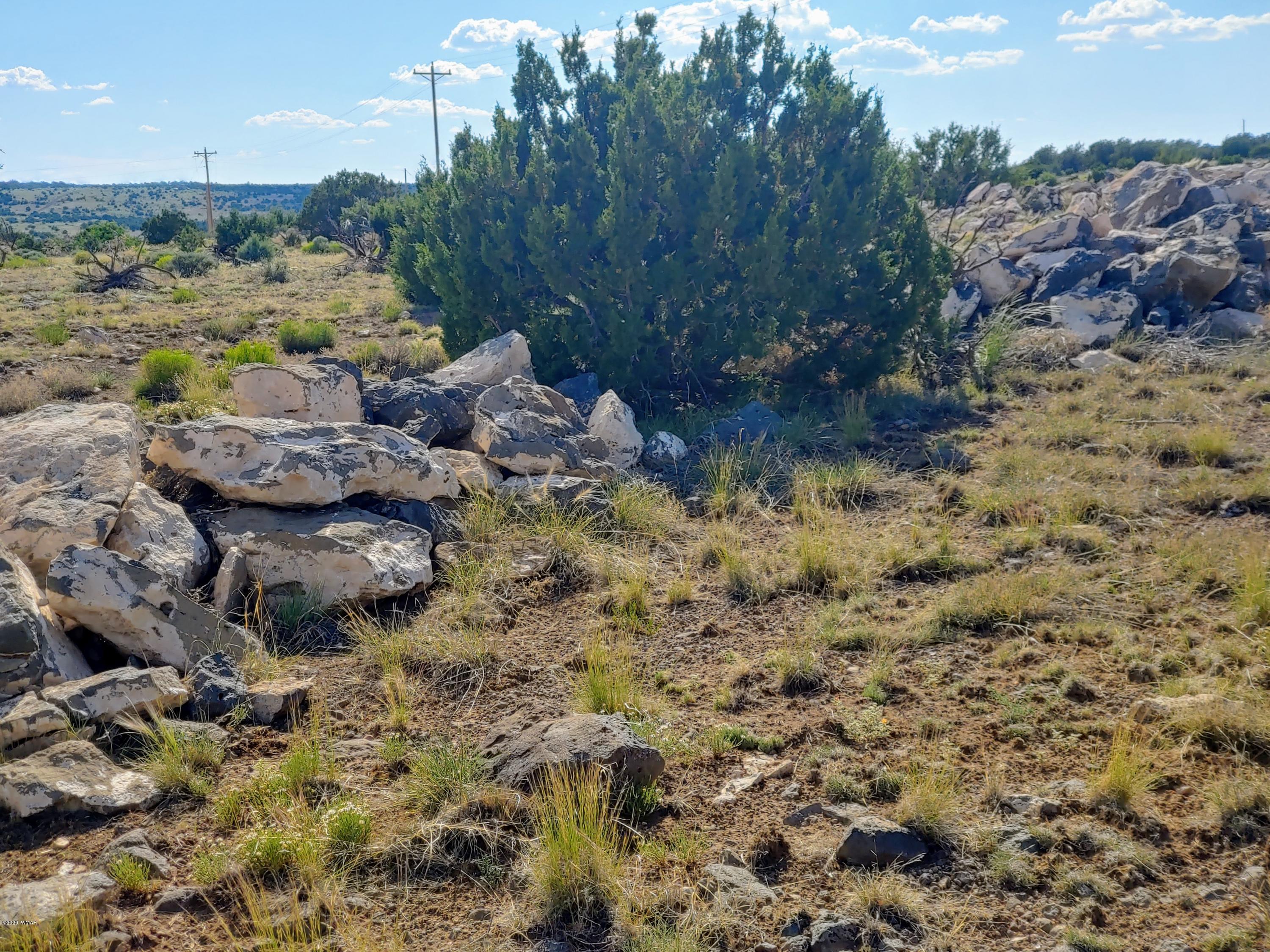 Lot 17 Windsor Valley Ranch, Unit 1 Concho, AZ 85924 - Photo 10 of 23