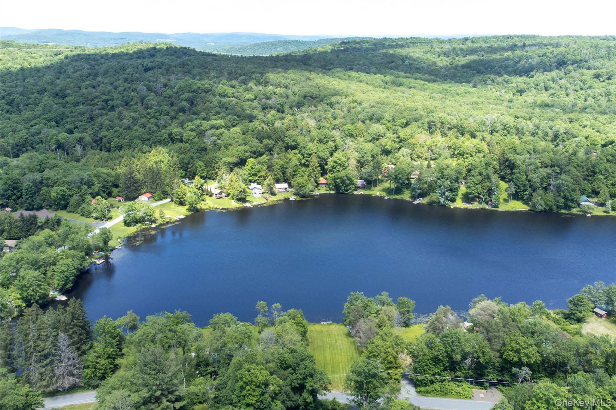 113 Lake Muskoday Road Roscoe, NY 12776 - Photo 25 of 27 Overhead view of the lake