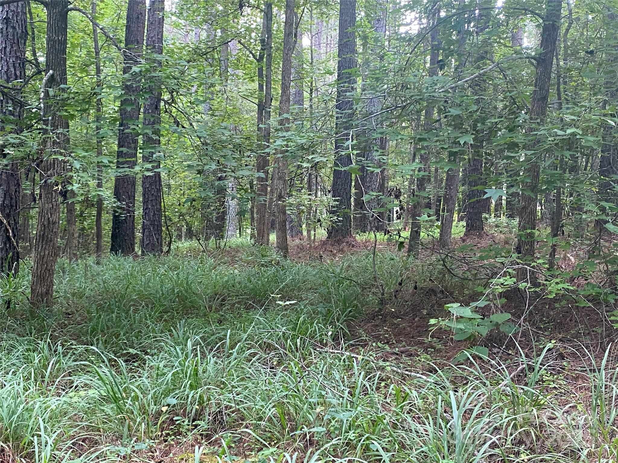 6359 Chimney Bluff Road Lancaster, SC 29720 - Photo 3 of 4 Gallery Image 3