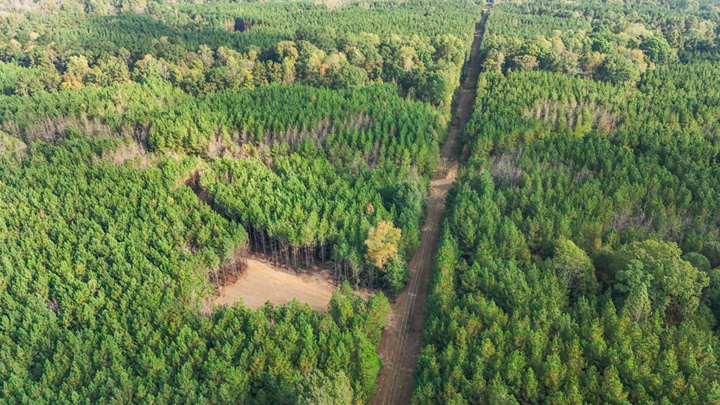 6040 Highway 33 Roxie, MS 39661 - Photo 26 of 39 Photo 26