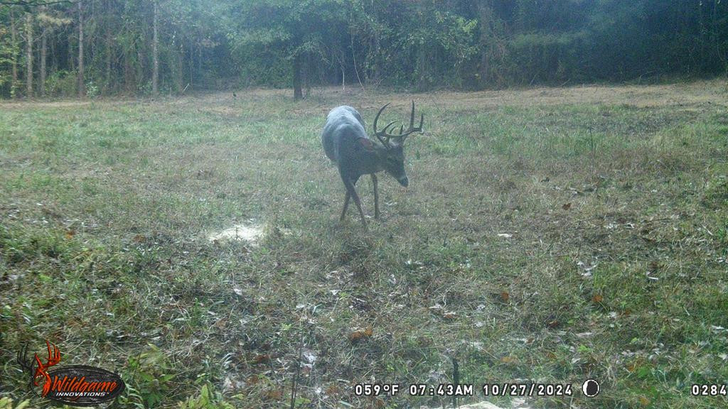 6040 Highway 33 Roxie, MS 39661 - Photo 36 of 39 Photo 36