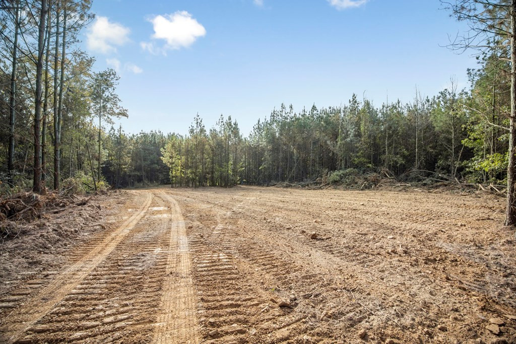 6040 Highway 33 Roxie, MS 39661 - Photo 6 of 39 Photo 6