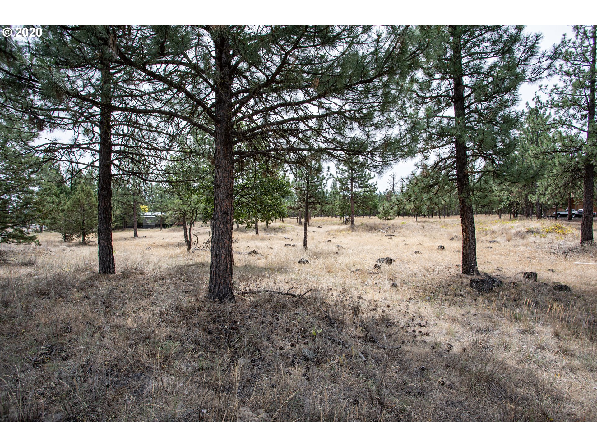 269 A South Fairway Road Tygh Valley, OR 97063 - Photo 7 of 13 Gallery Image 7