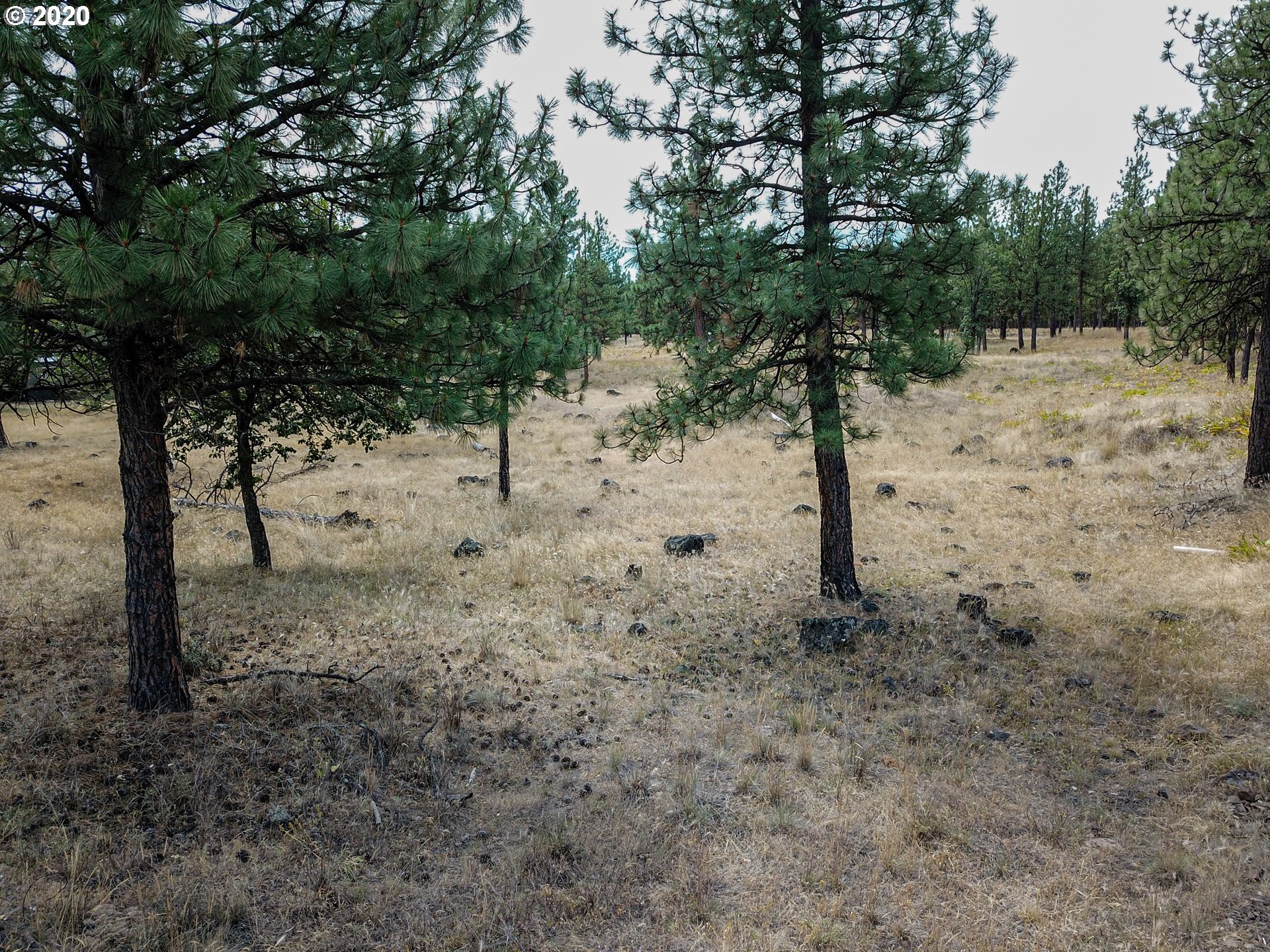 269 A South Fairway Road Tygh Valley, OR 97063 - Photo 9 of 13 Gallery Image 9