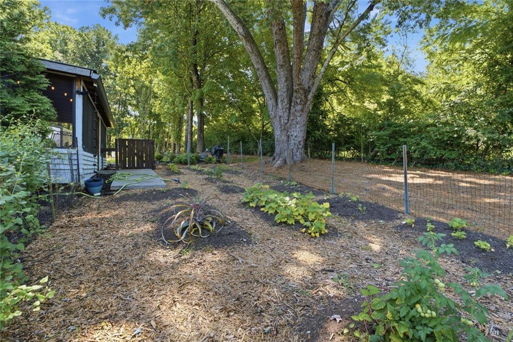 263 Elizabeth Street Jasper, GA 30143 - Photo 25 of 41