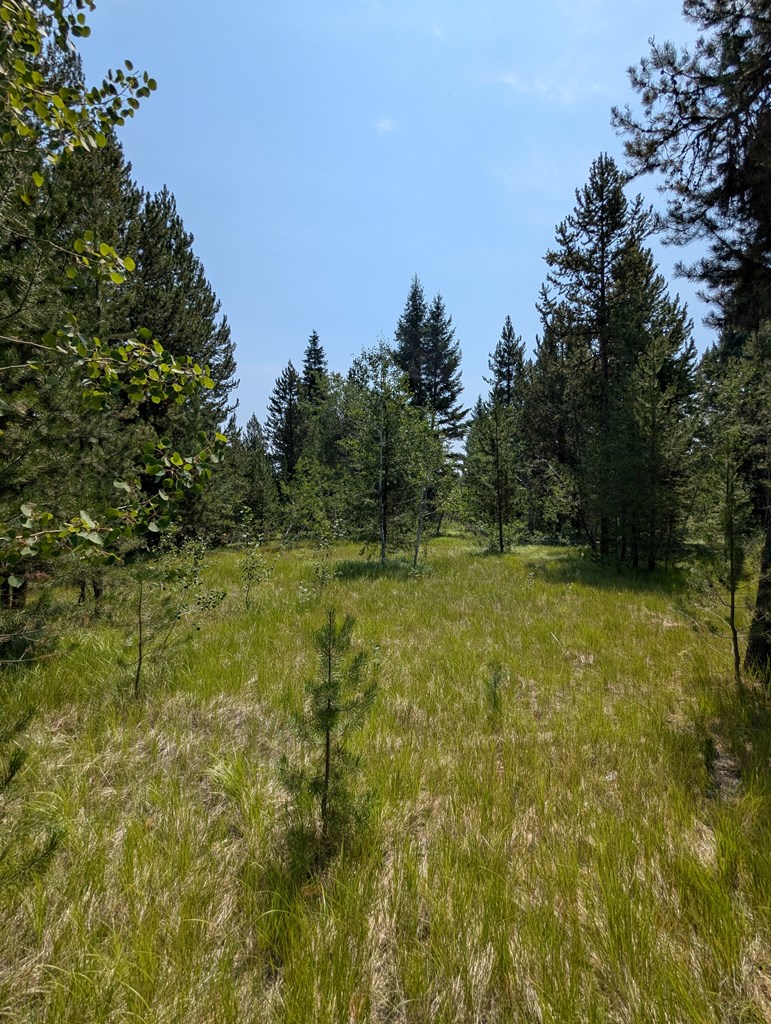 32 Thunderbolt Place, Unit 79 McCall, ID 83638 - Photo 7 of 12