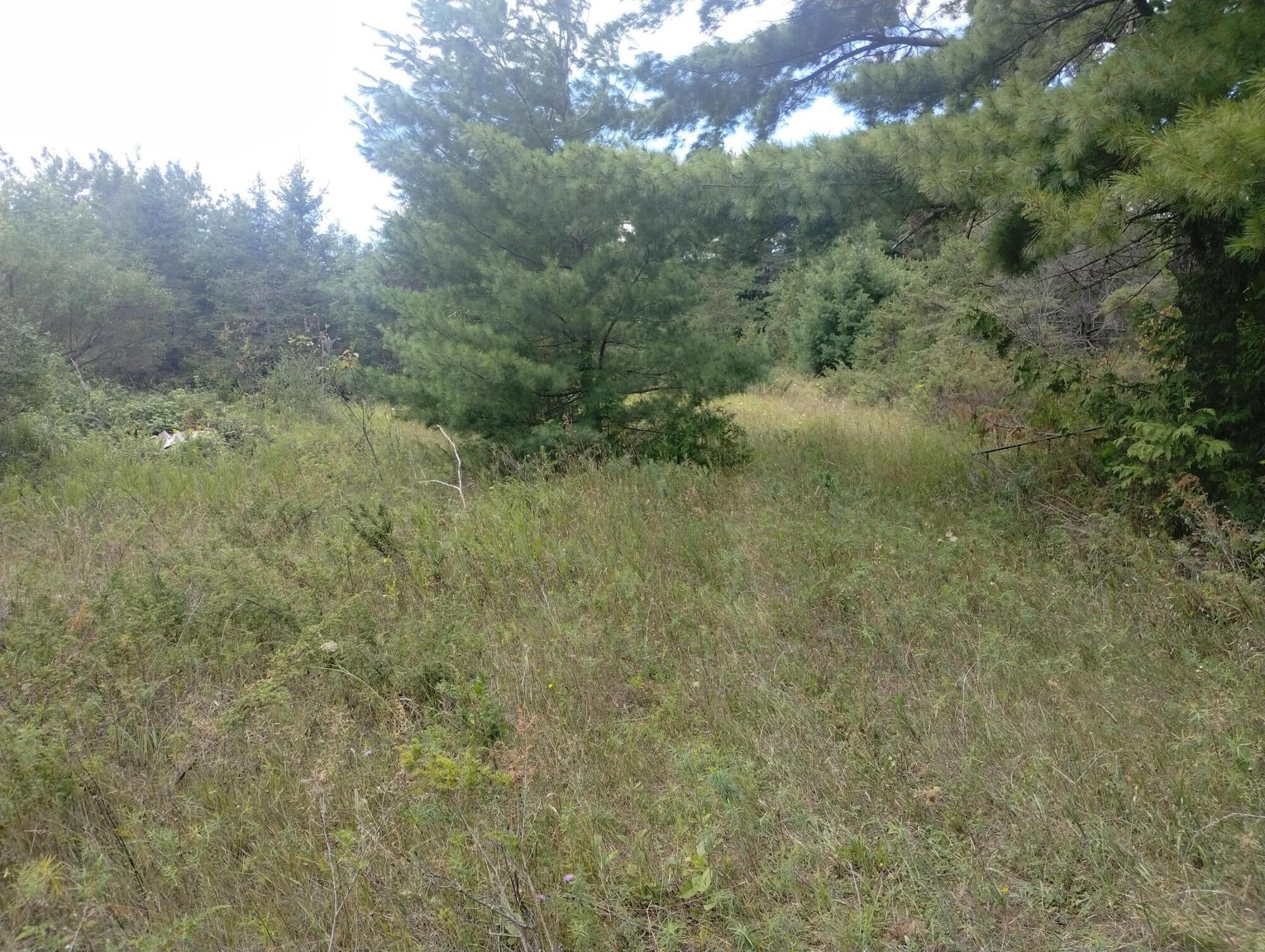 5060 Long Lake Road Alpena, MI 49707 - Photo 15 of 17 Open spaces