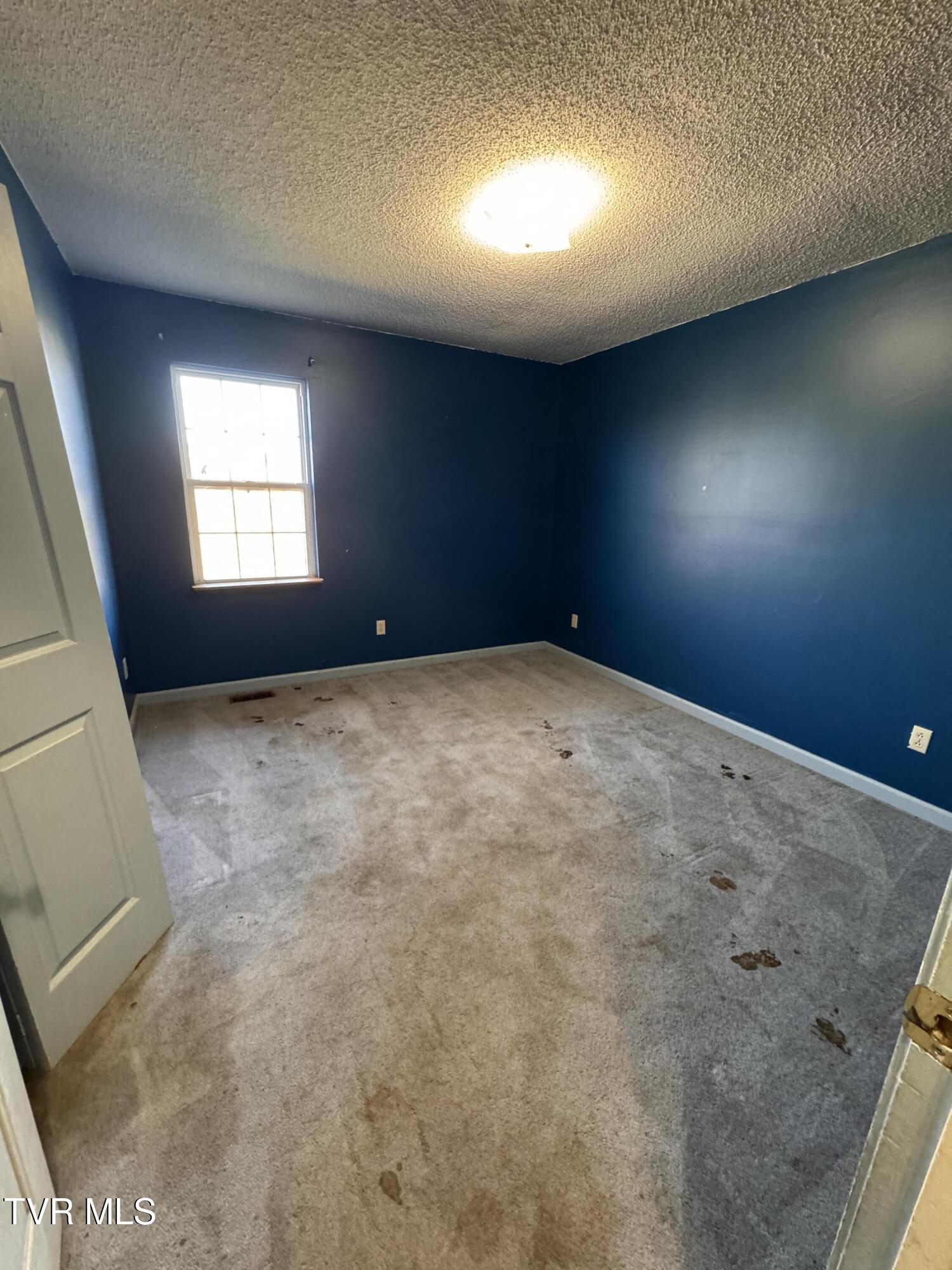 111 Miller Street Limestone, TN 37681 - Photo 13 of 38 IMG_3244