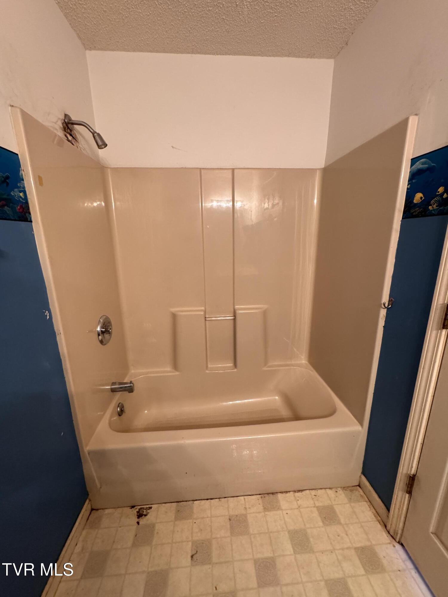 111 Miller Street Limestone, TN 37681 - Photo 25 of 38 IMG_3256