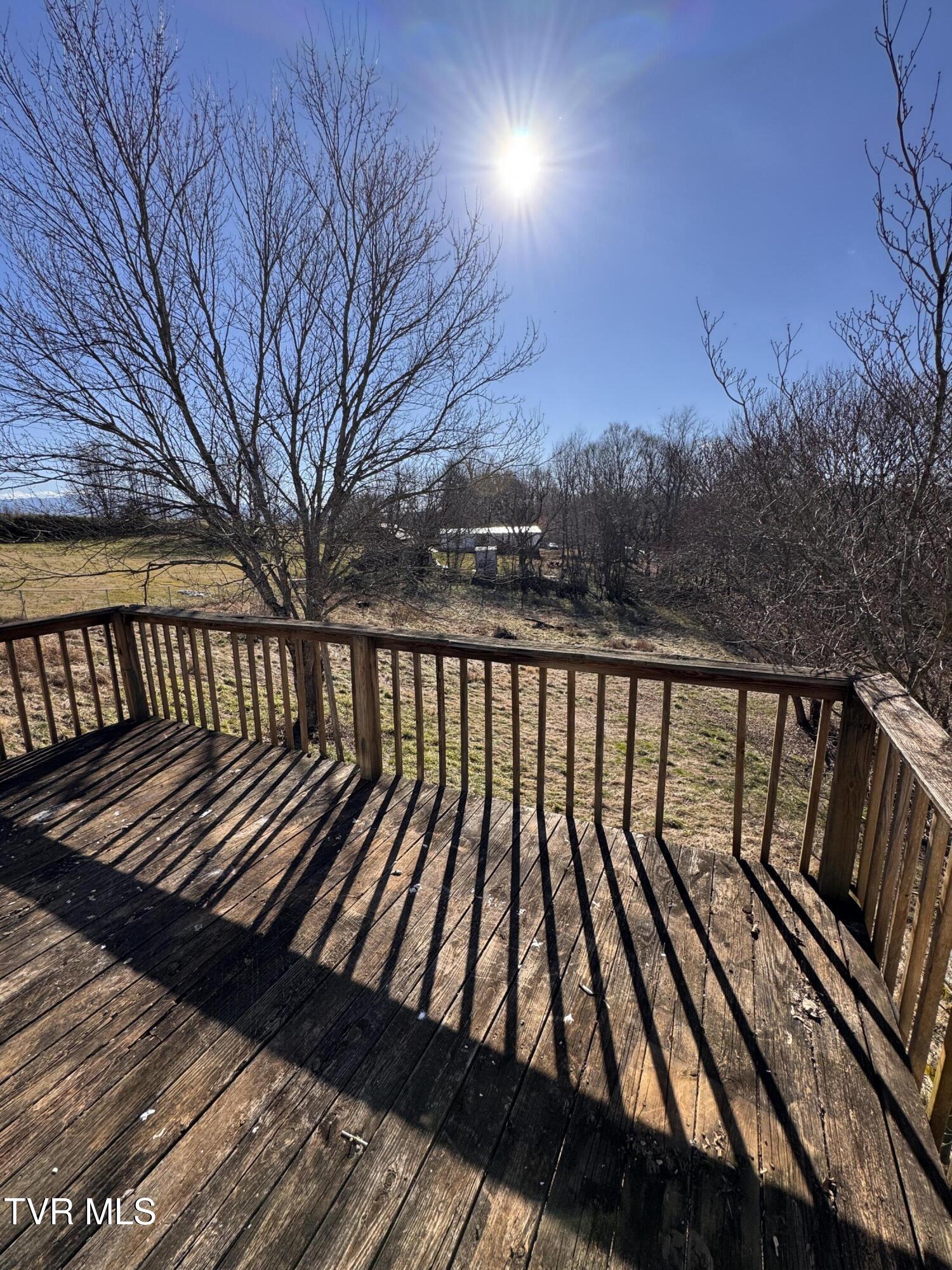 111 Miller Street Limestone, TN 37681 - Photo 29 of 38 IMG_3260