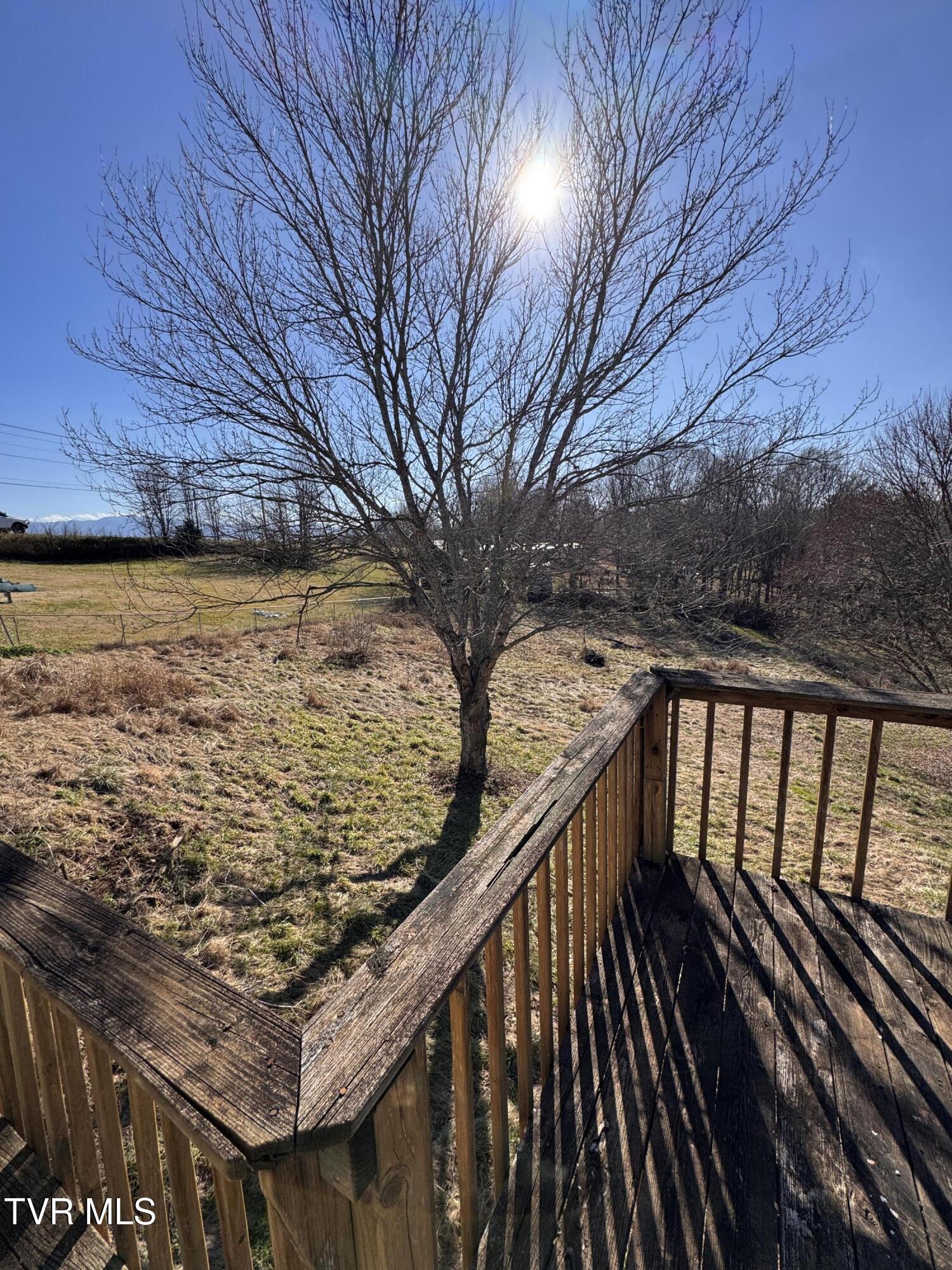 111 Miller Street Limestone, TN 37681 - Photo 31 of 38 IMG_3262