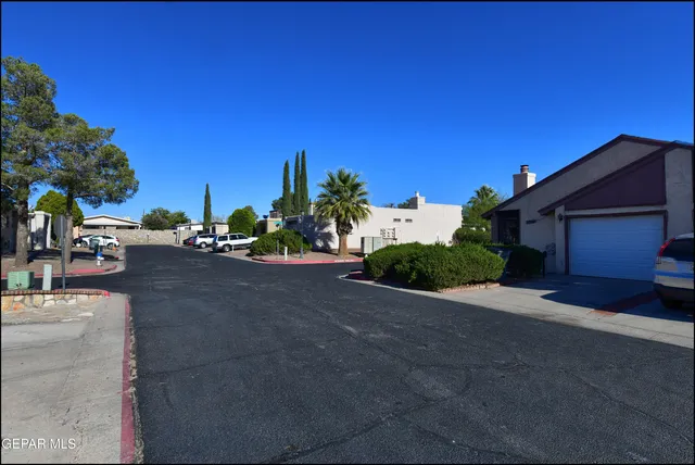 a row of palm trees sitting in front of a house