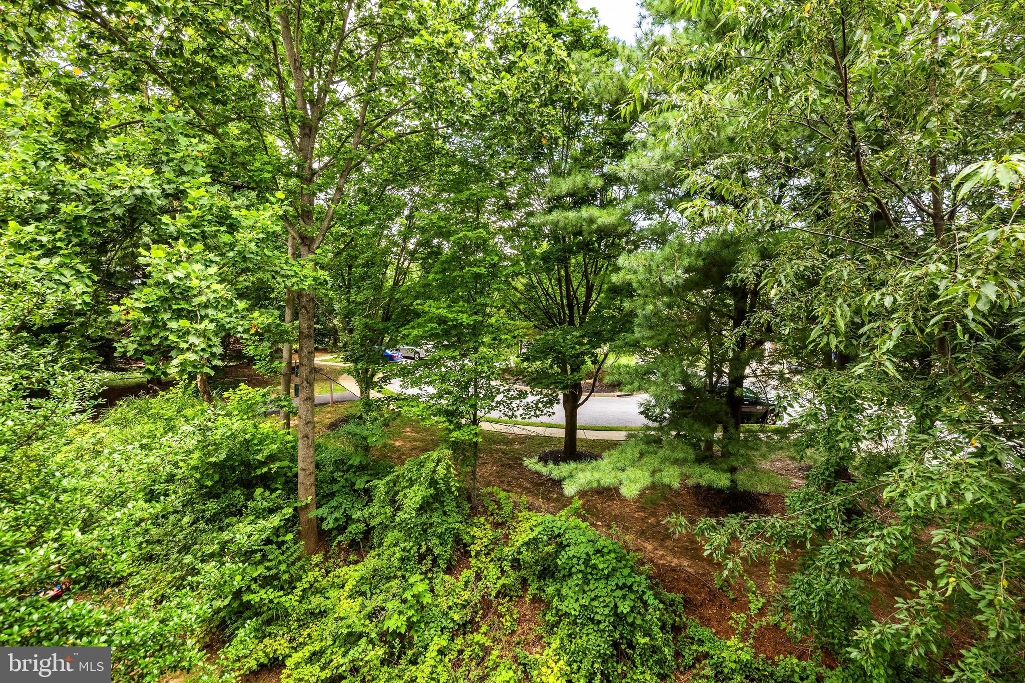 12204 Burncourt Road, Unit 302 Lutherville-Timonium, MD 21093 - Photo 26 of 27 a backyard of a house with lots of green space