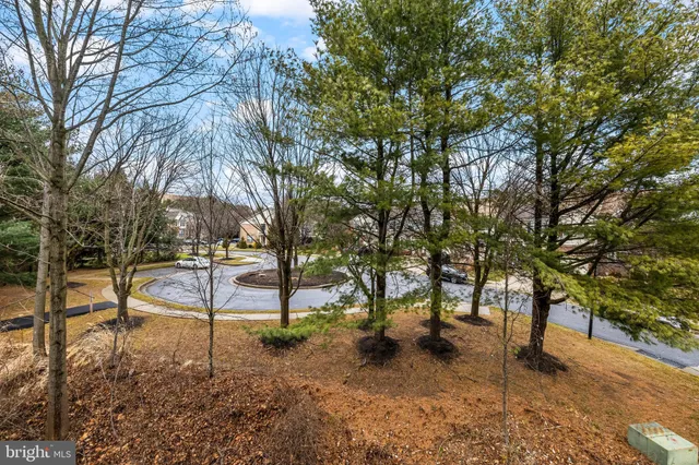 a view of outdoor space with lots of trees