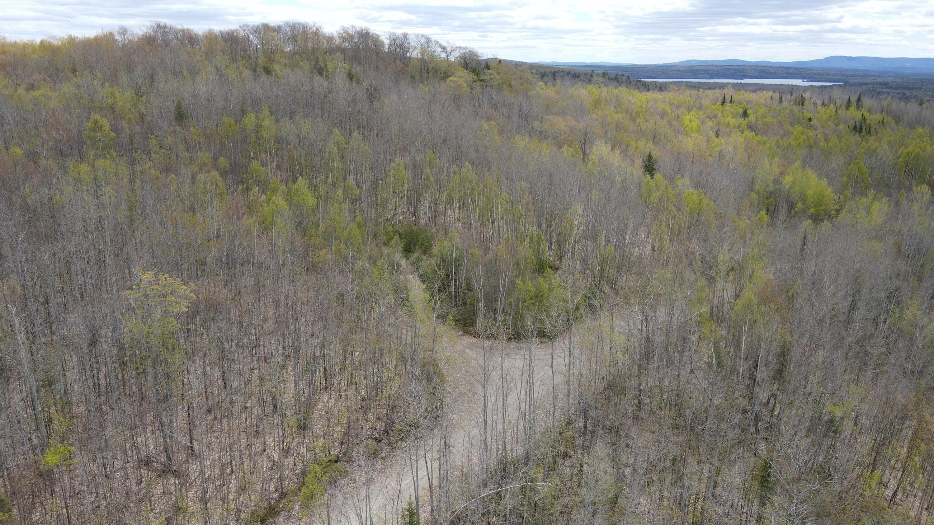 0 South Road Lincoln, ME 04457 - Photo 66 of 75 DJI_0146