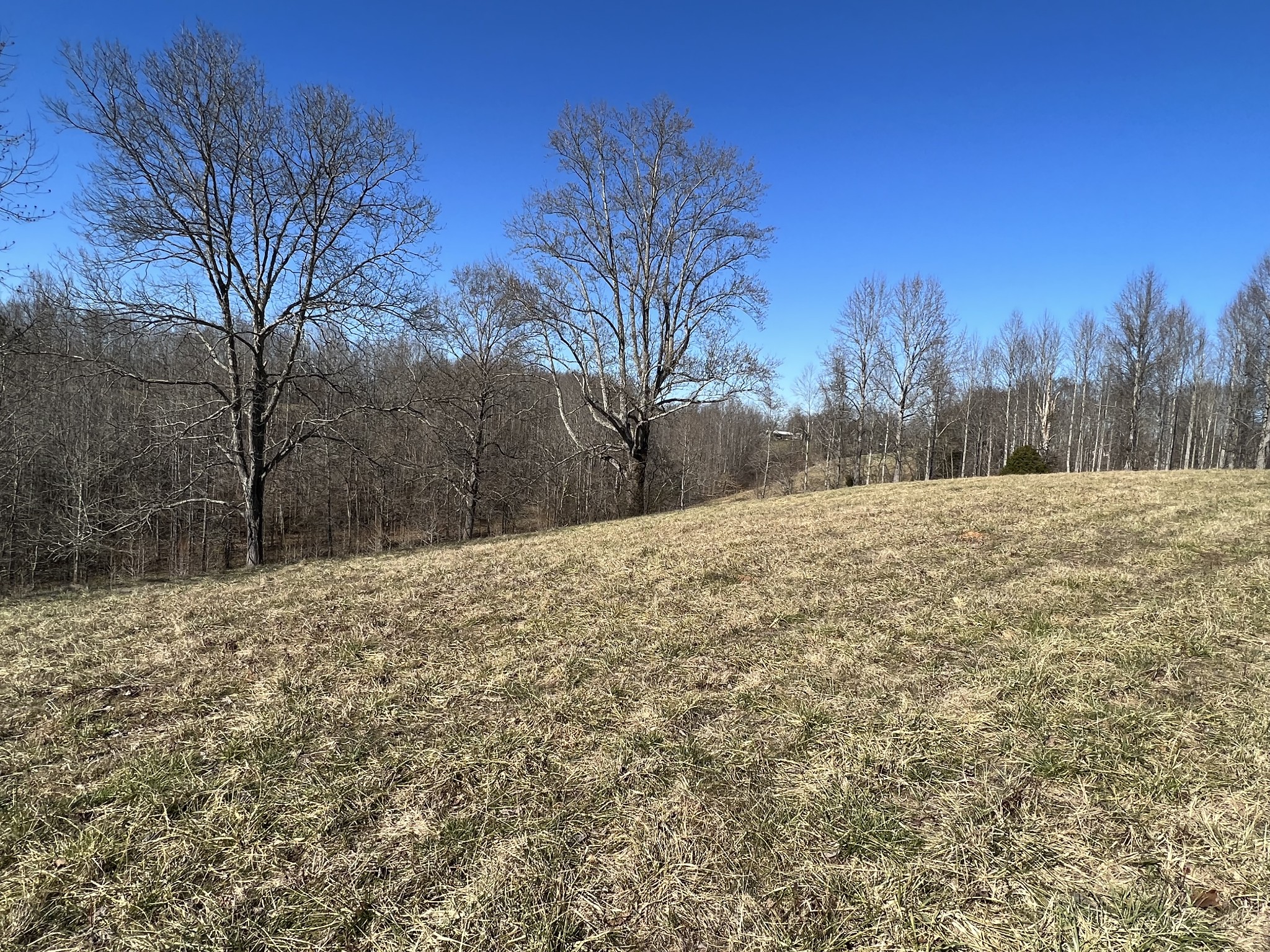 445 Tatum Road Pulaski, TN 38478 - Photo 13 of 68