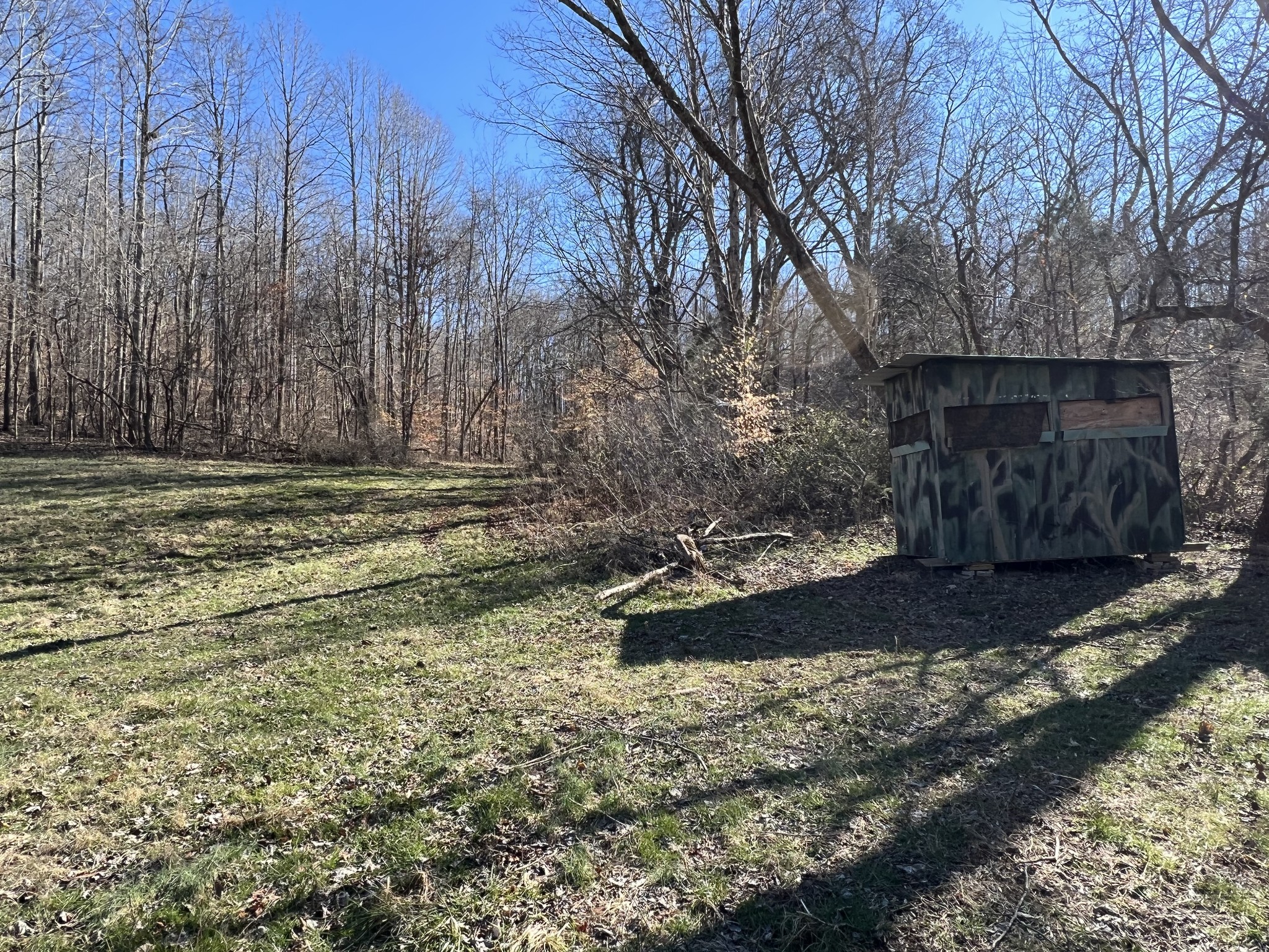 445 Tatum Road Pulaski, TN 38478 - Photo 20 of 68 a view of a backyard with large trees