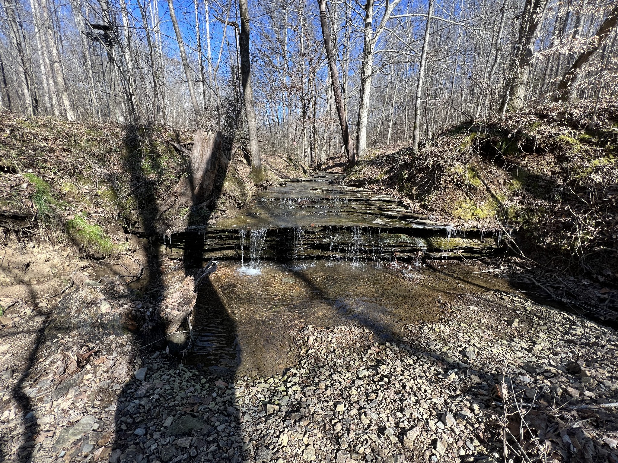 445 Tatum Road Pulaski, TN 38478 - Photo 23 of 68 a view of a yard with wooden fence