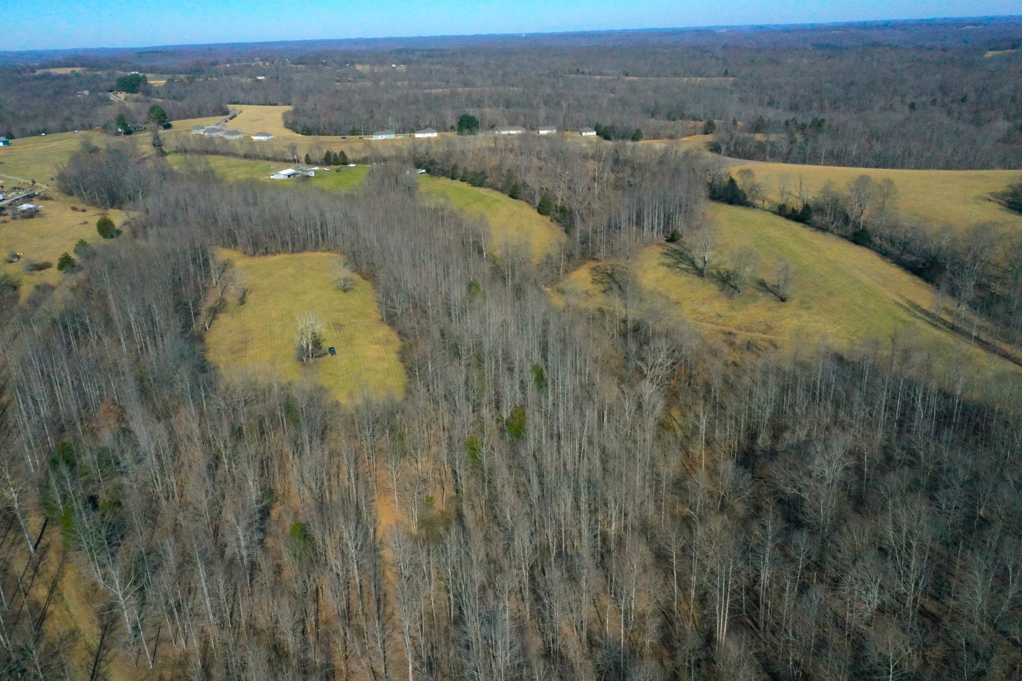 445 Tatum Road Pulaski, TN 38478 - Photo 54 of 68 a view of a city