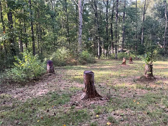 a backyard of a house with lots of green space