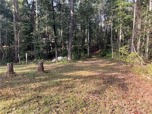 a view of a yard with trees