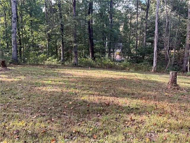 a view of a backyard with large trees
