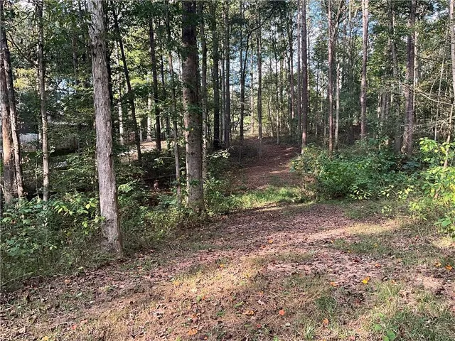 a view of a lush green forest with lots of trees