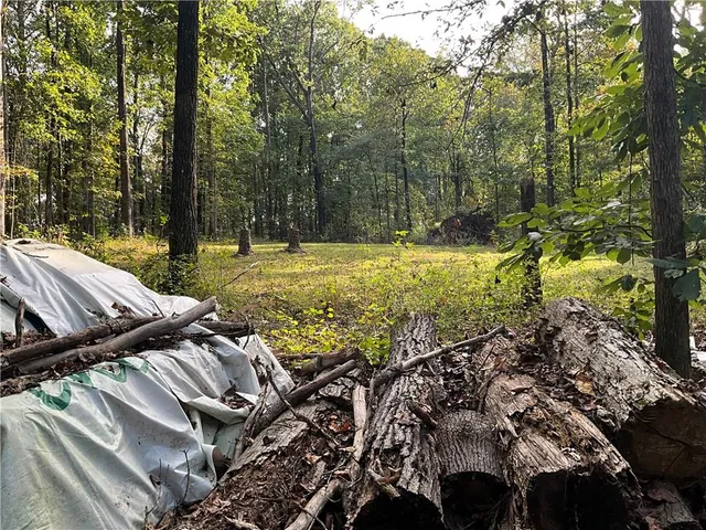 a view of a street sign under a large tree