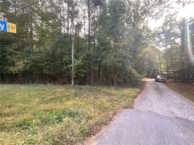a view of a forest with trees