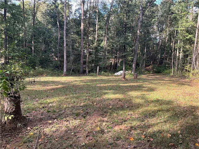 a view of a yard with a tree