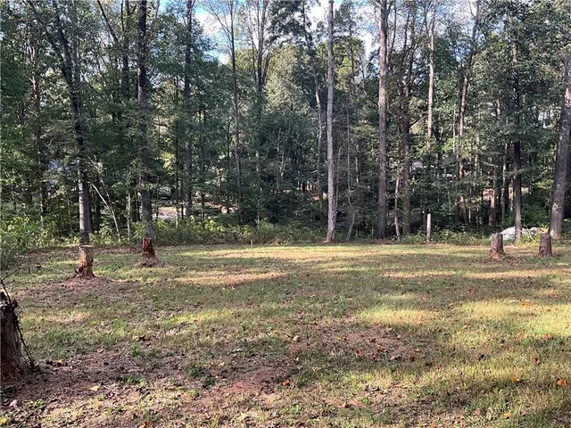 a backyard of a house with lots of green space