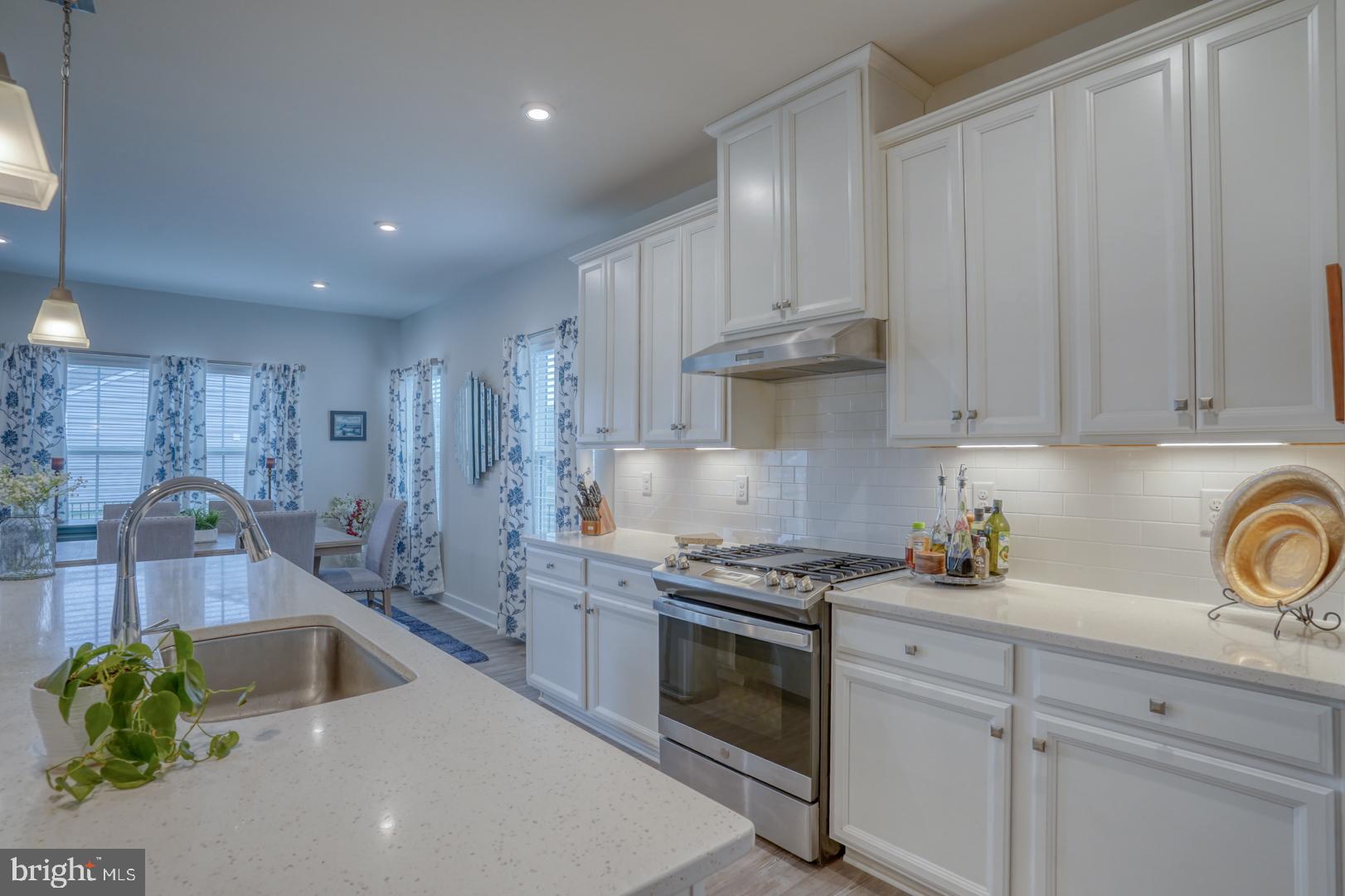 24077 Caldwell Circle Lewes, DE 19958 - Photo 18 of 60 a kitchen with stainless steel appliances a sink a stove and cabinets