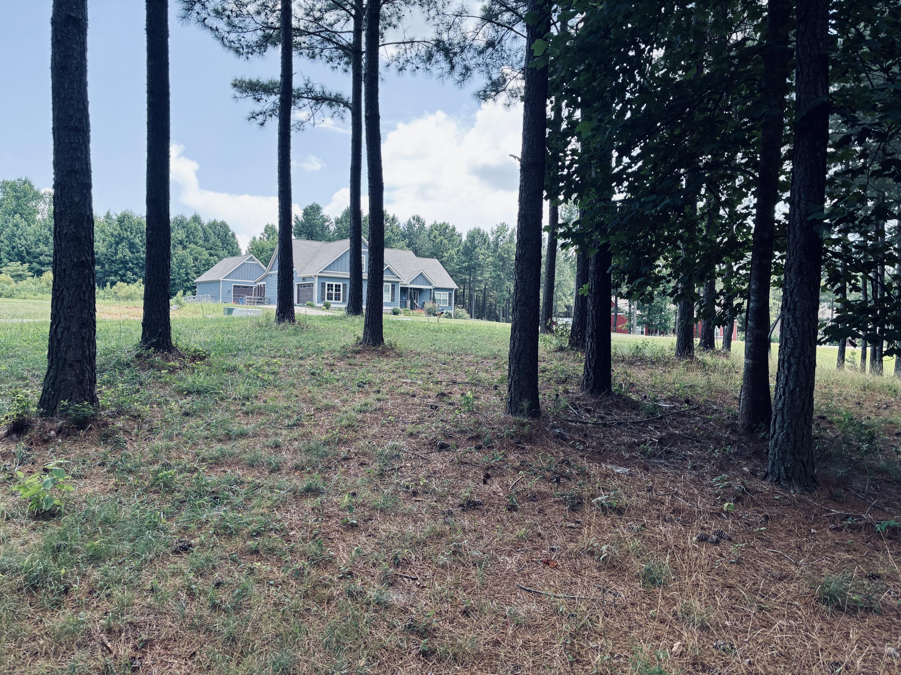 1711 Raulston Fls Road, Unit SV239/230 Jasper, TN 37347 - Photo 10 of 40 IMG_7240