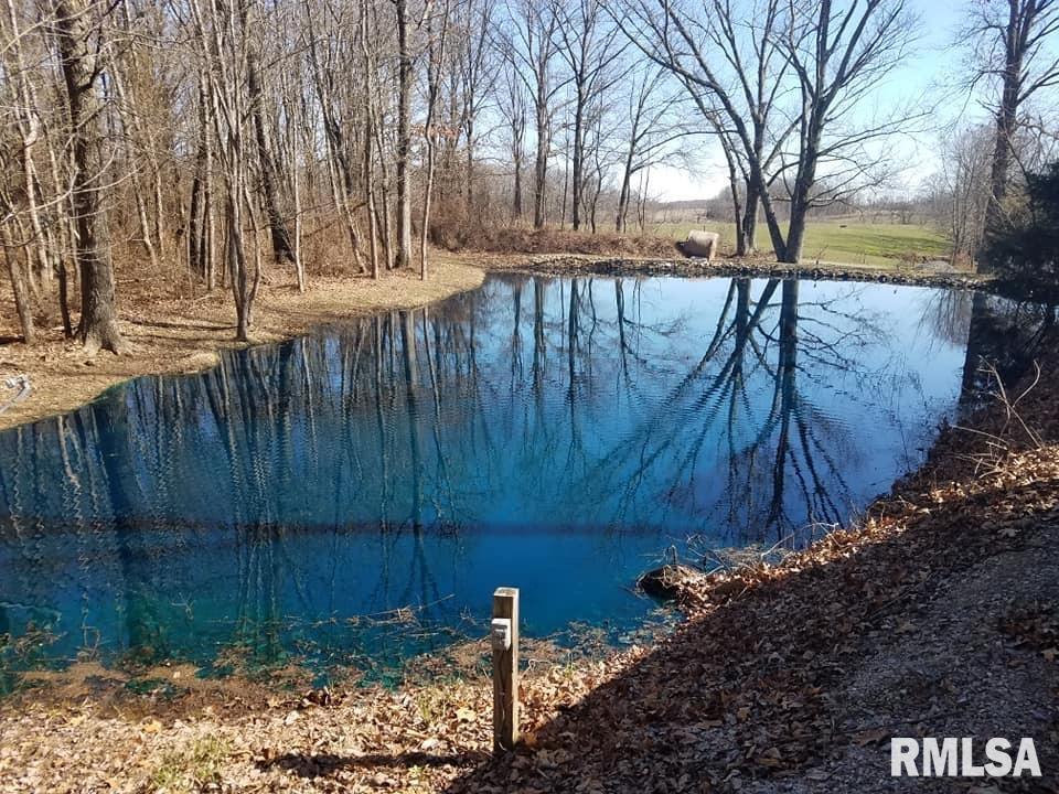7182 Birch Road Iuka, IL 62849 - Photo 16 of 17